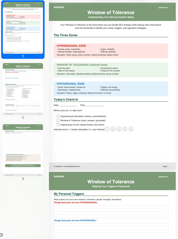 Window of Tolerance Worksheet